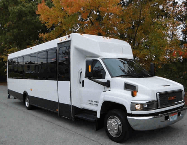 15 passenger party bus limo white