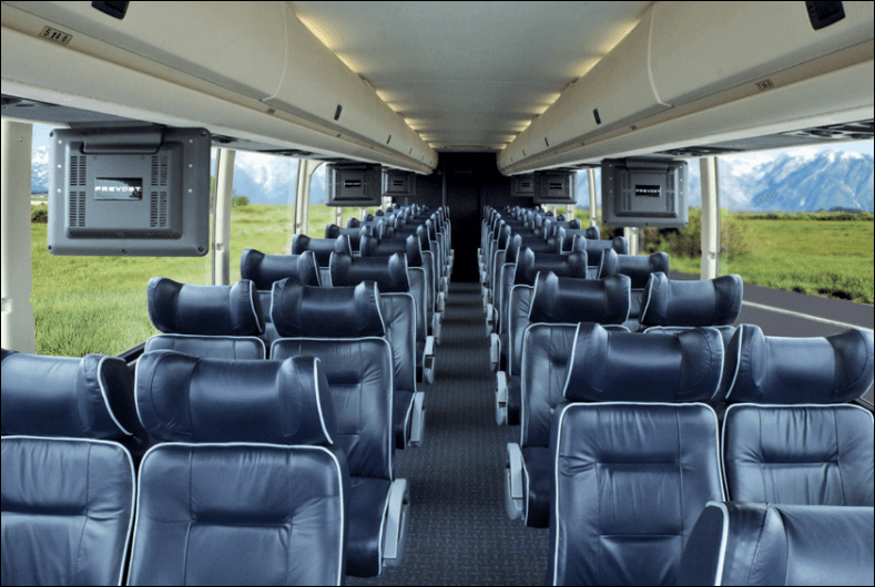 56 passenger charter bus