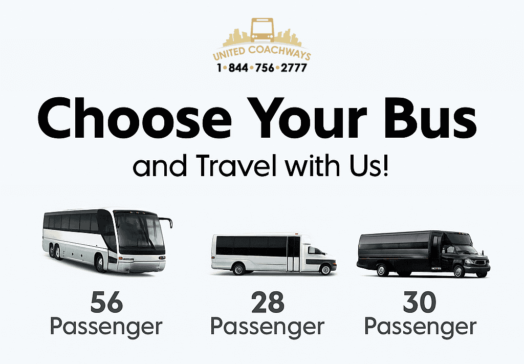 Charter Bus Options